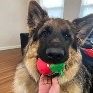 Meet your Posher, Barbara